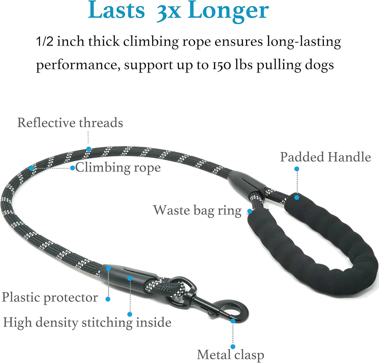 Shock Absorbing Bungee Leash for Two Dogs