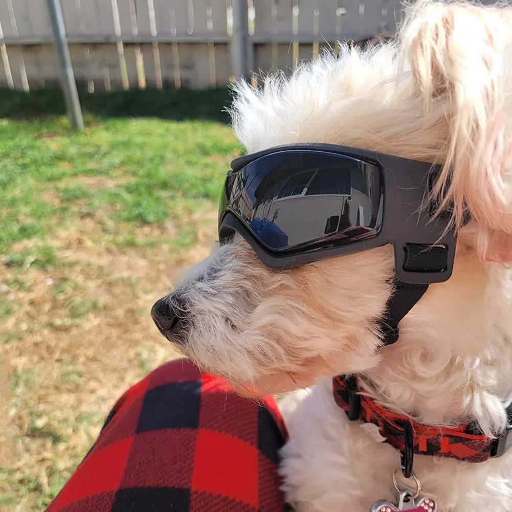 UV Protection Dog Sunglasses