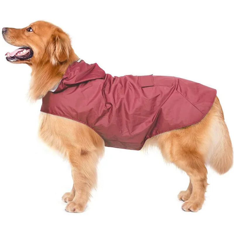 Poncho