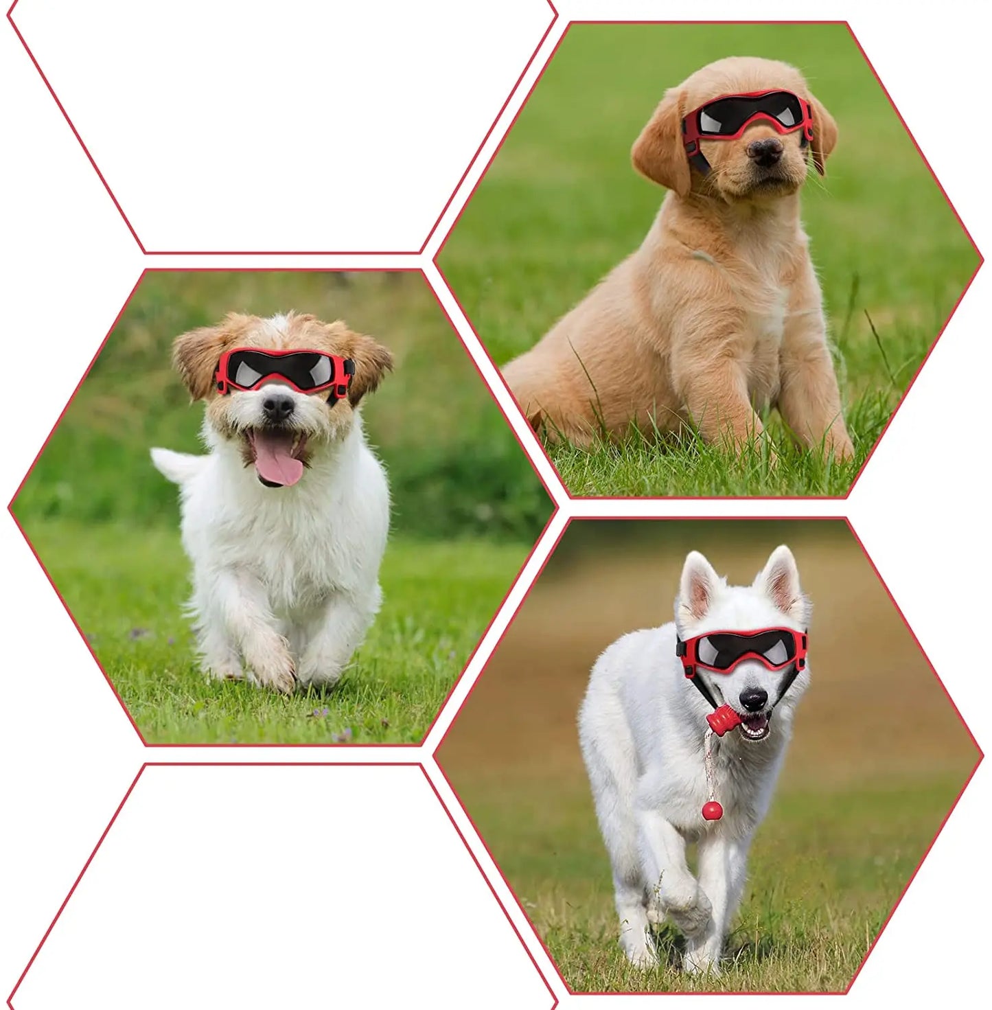 UV Protection Dog Sunglasses