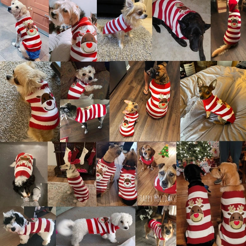 Christmas Sweater