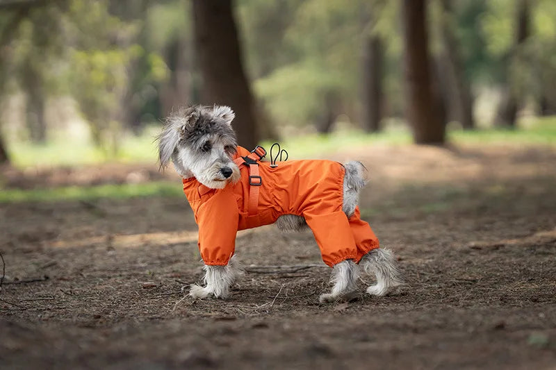 Reflective Raincoat with Harness