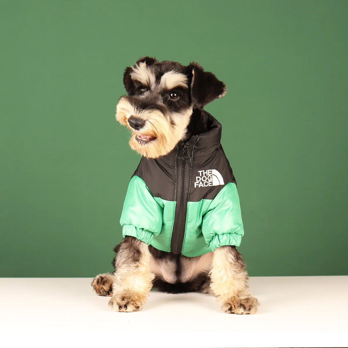 The Dog Face Winter Puffer