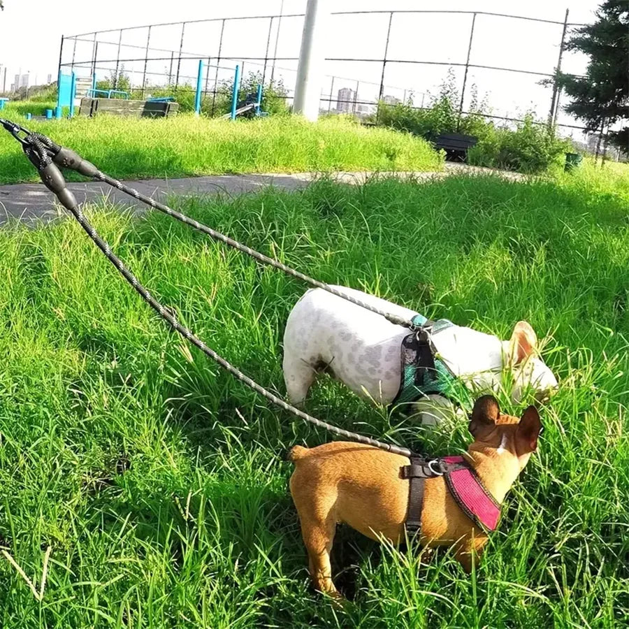 Dual Dog Leash - 360 Swivel No Tangle Walking Leash for Small Dogs