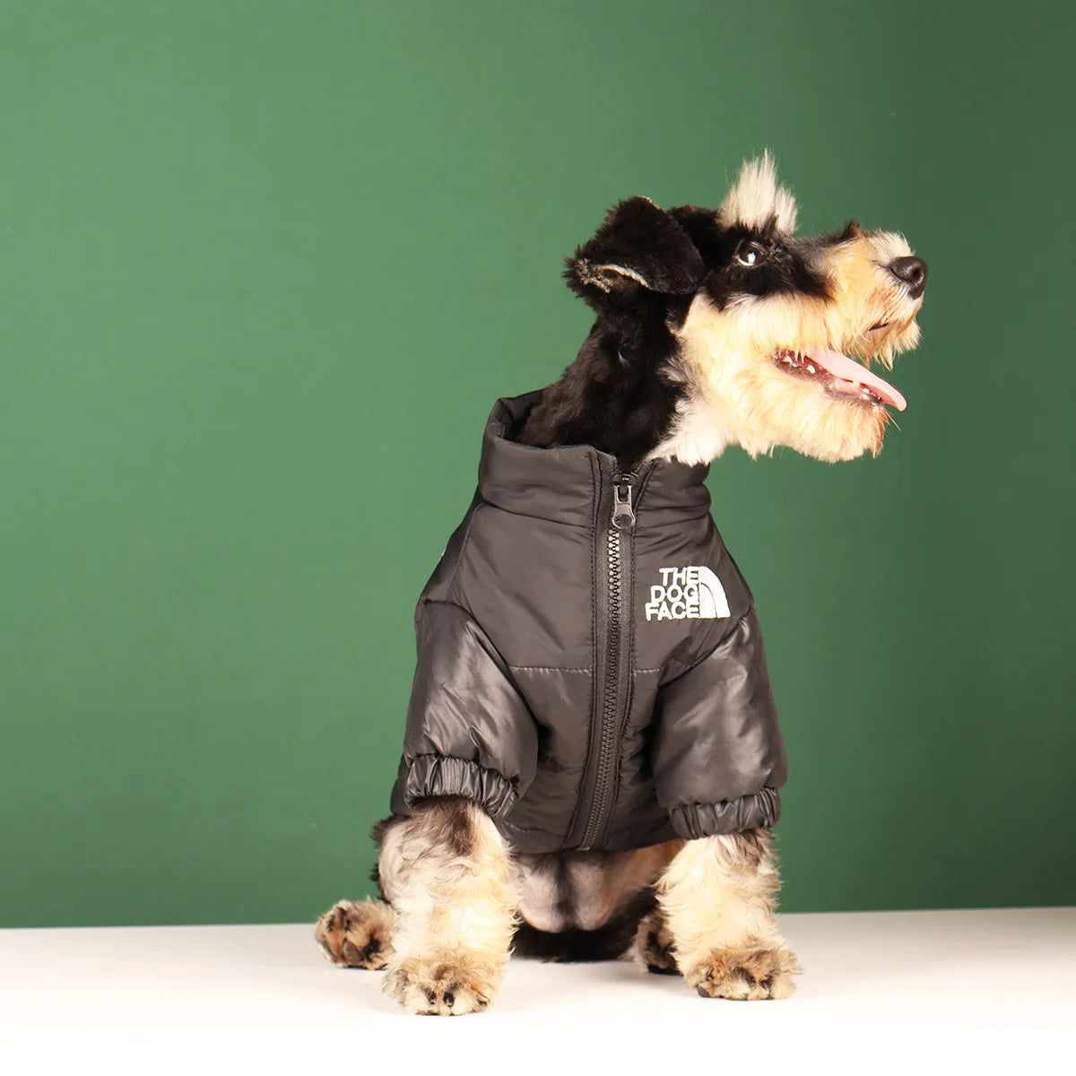 The Dog Face Winter Puffer