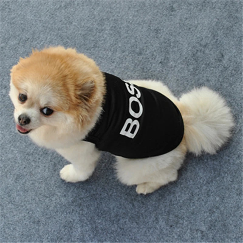 The Pup Tank