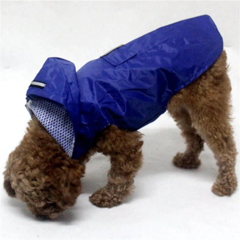 Poncho
