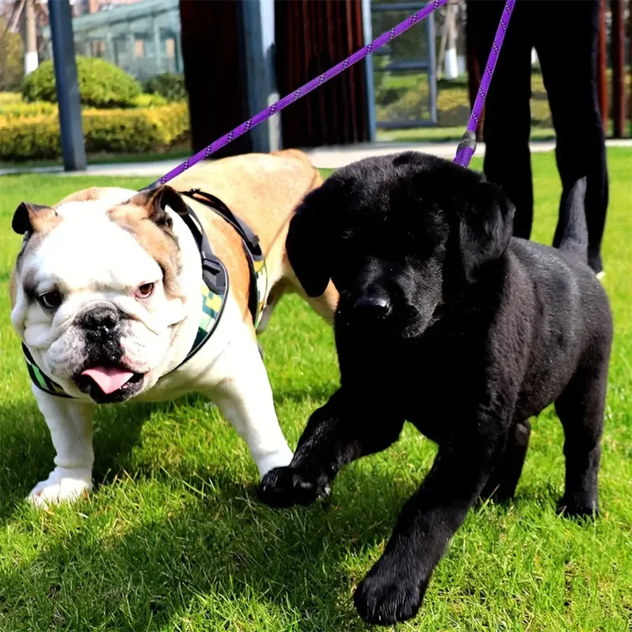 Dual Dog Leash - 360 Swivel No Tangle Walking Leash for Small Dogs