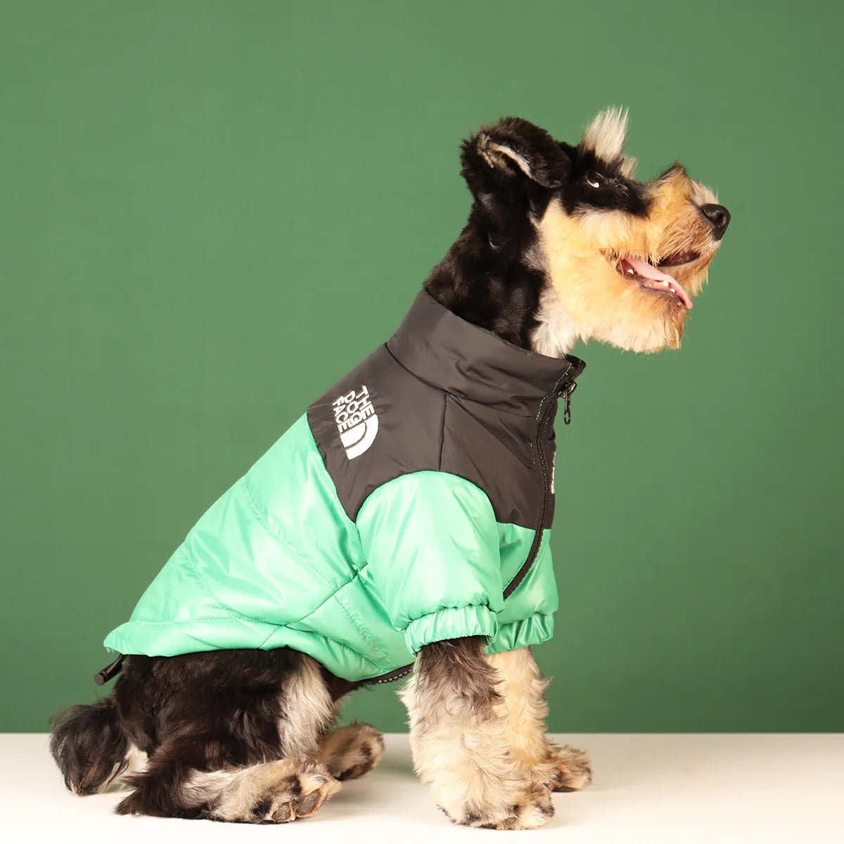The Dog Face Winter Puffer