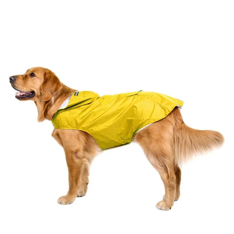 Poncho
