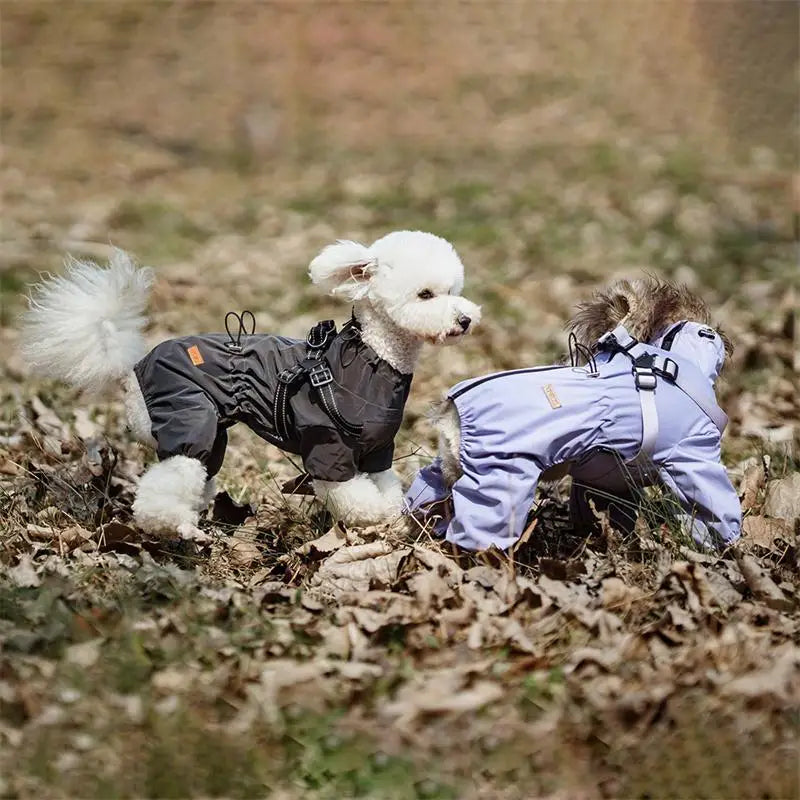 Reflective Raincoat with Harness