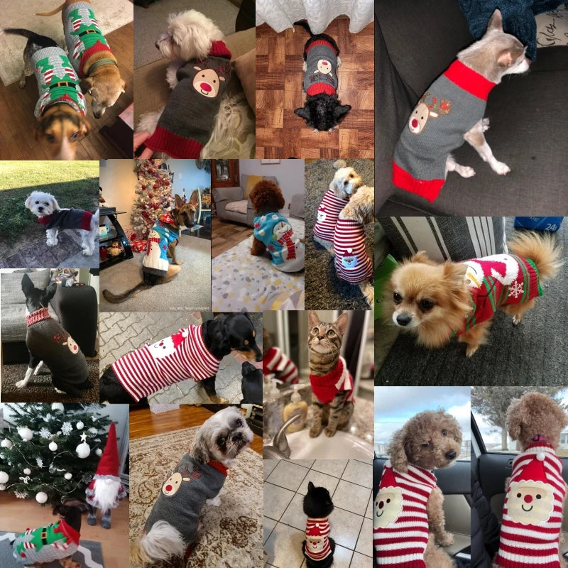 Christmas Sweater