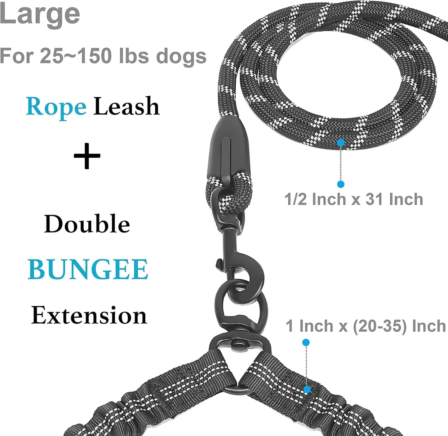 Shock Absorbing Bungee Leash for Two Dogs