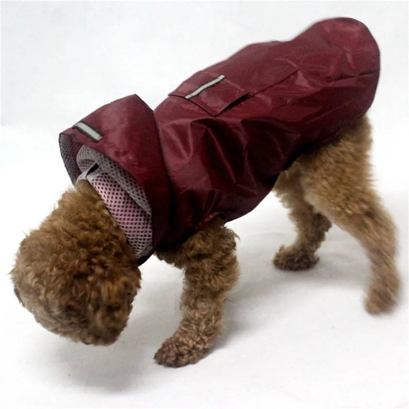 Poncho