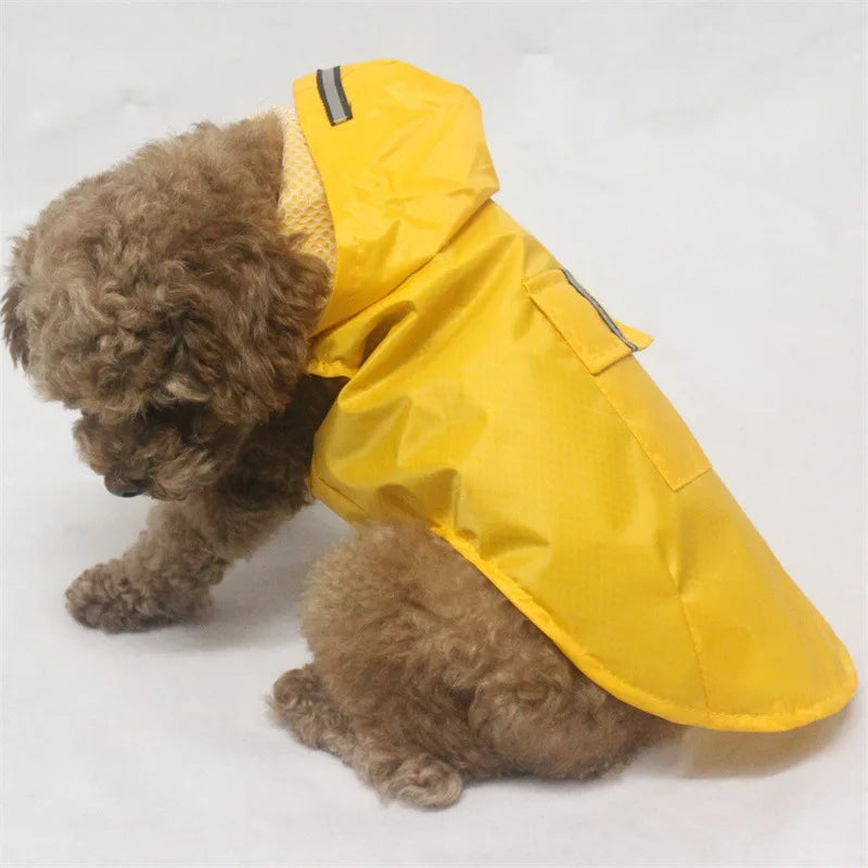 Poncho