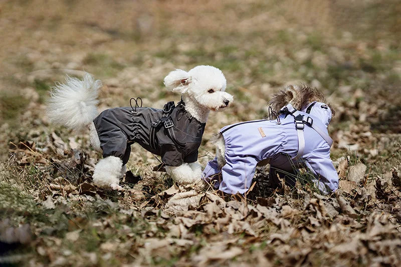 Reflective Raincoat with Harness