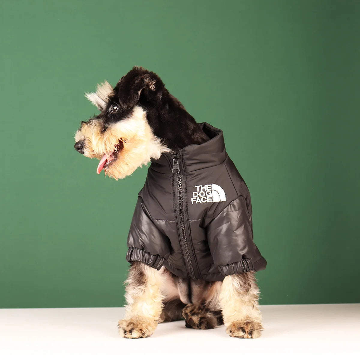 The Dog Face Winter Puffer