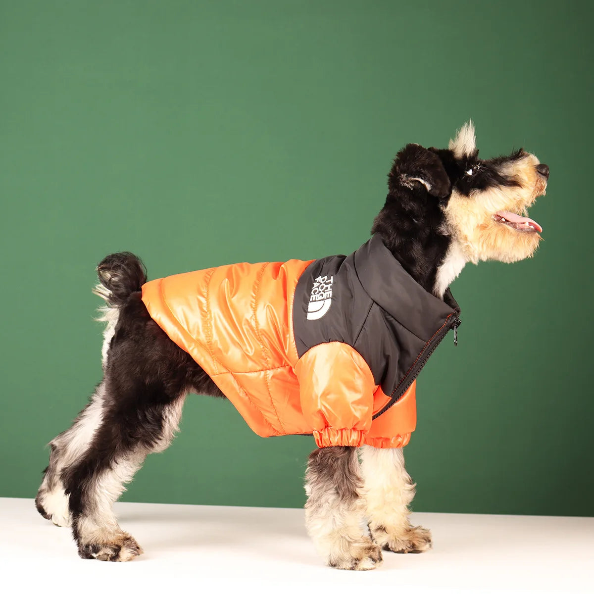 The Dog Face Winter Puffer