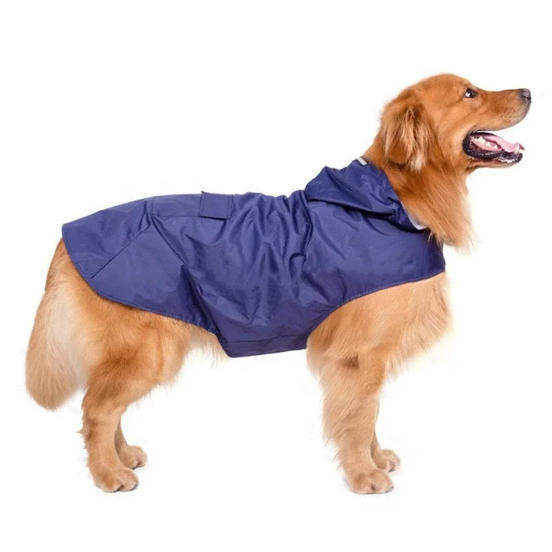 Poncho