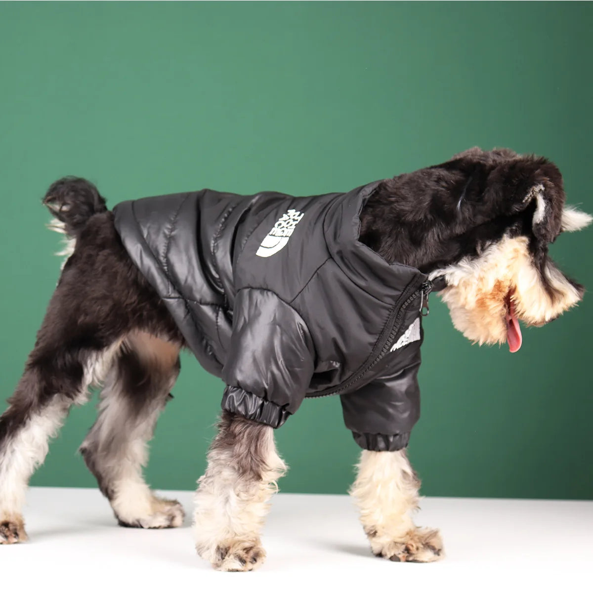 The Dog Face Winter Puffer