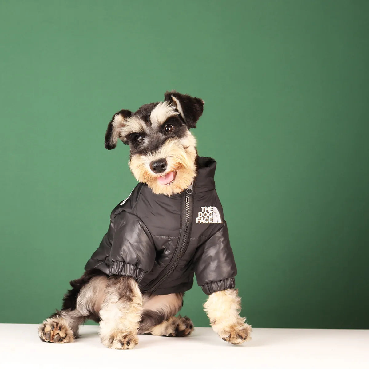 The Dog Face Winter Puffer