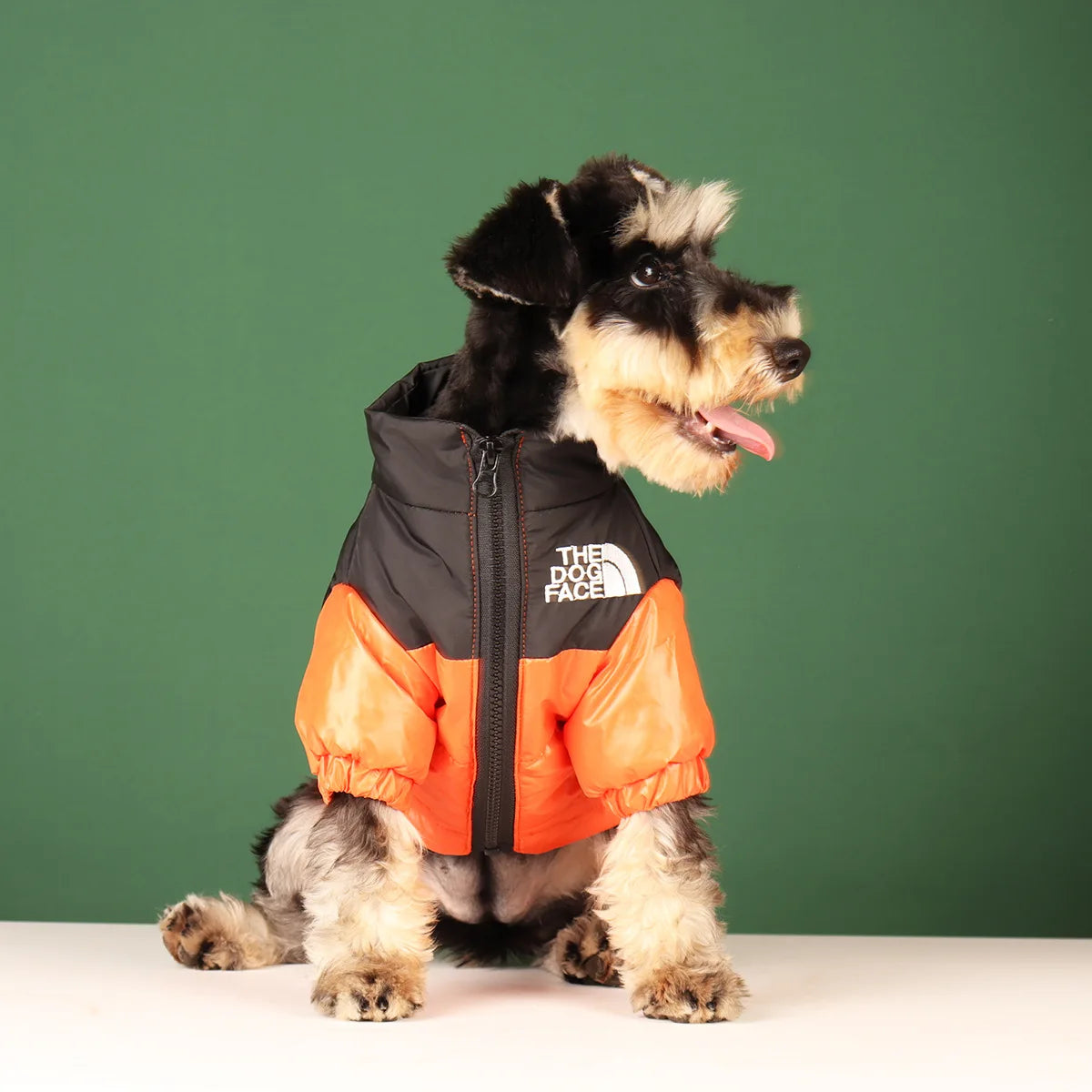 The Dog Face Winter Puffer