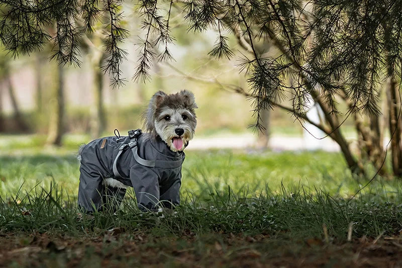 Reflective Raincoat with Harness