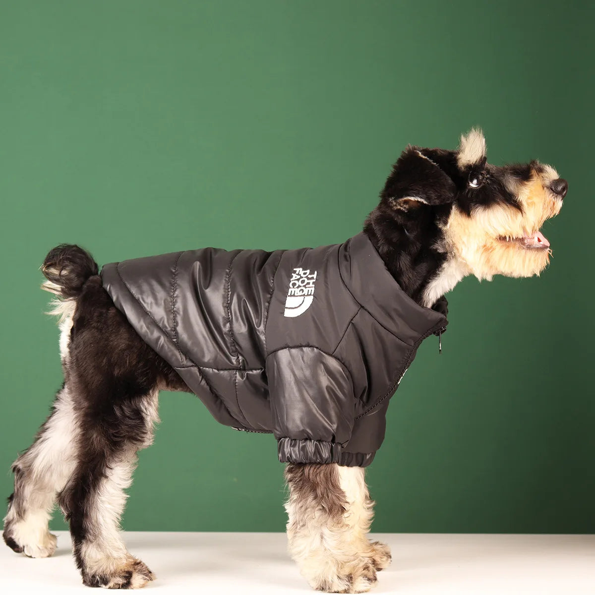 The Dog Face Winter Puffer