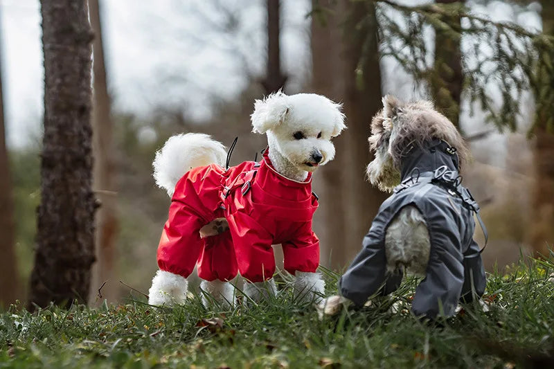 Reflective Raincoat with Harness