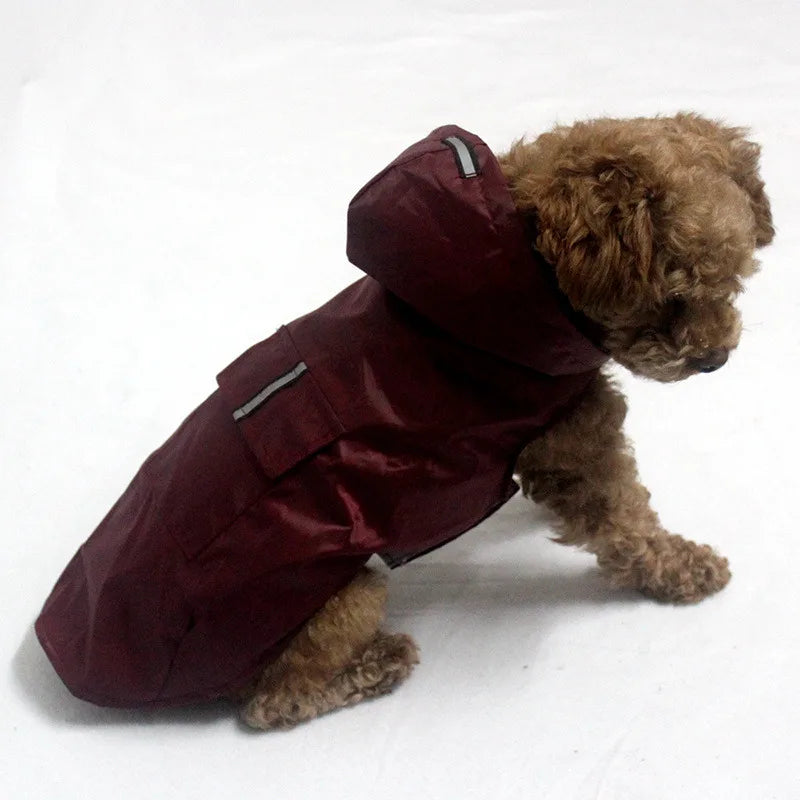 Poncho