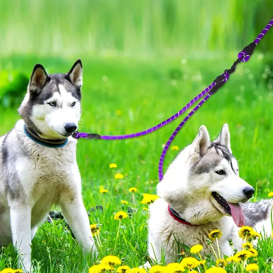 Dual Dog Leash - 360 Swivel No Tangle Walking Leash for Small Dogs