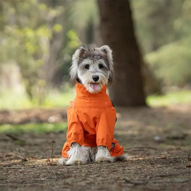 Reflective Raincoat with Harness