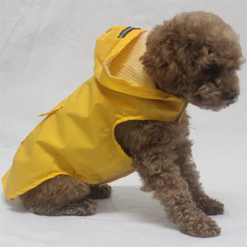 Poncho