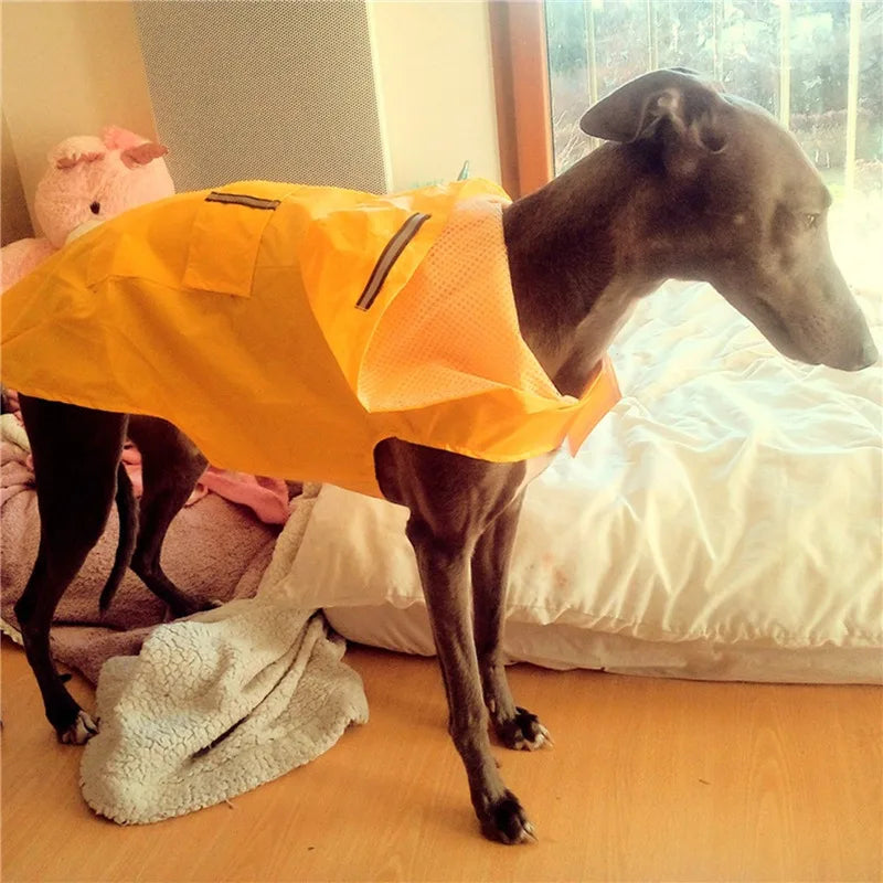 Poncho