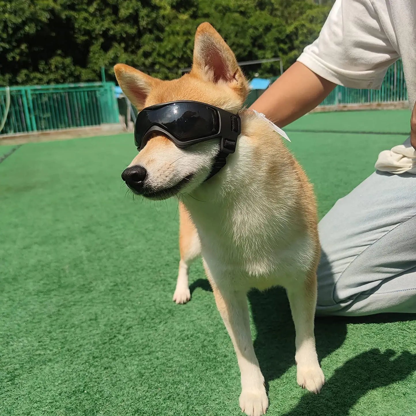 UV Protection Dog Sunglasses