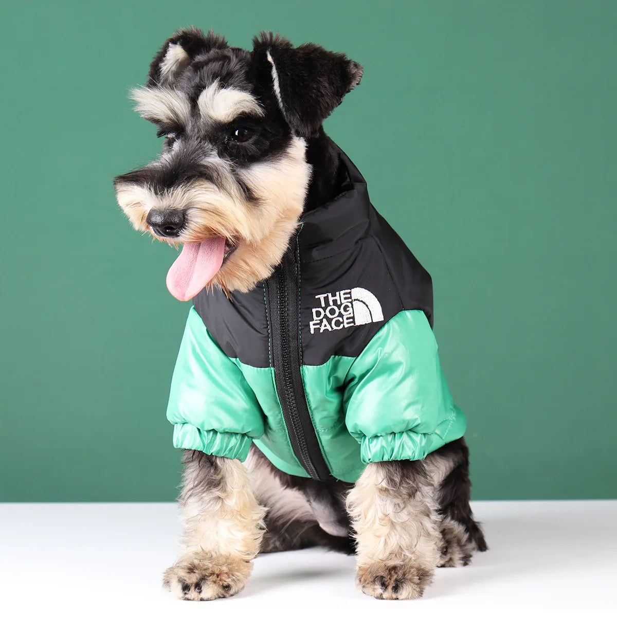 The Dog Face Winter Puffer