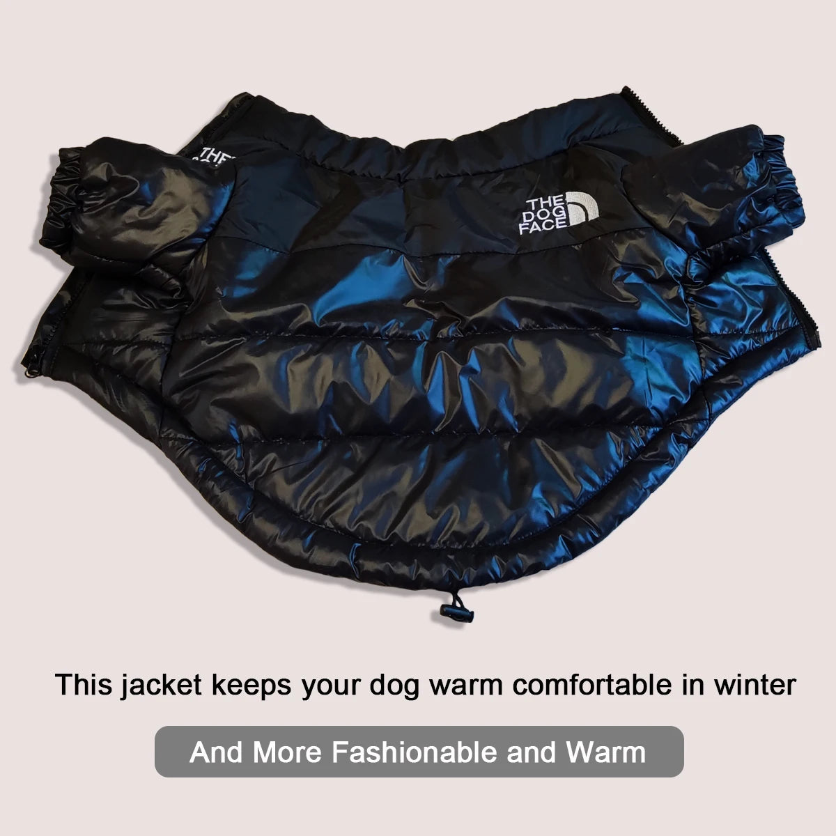 The Dog Face Winter Puffer