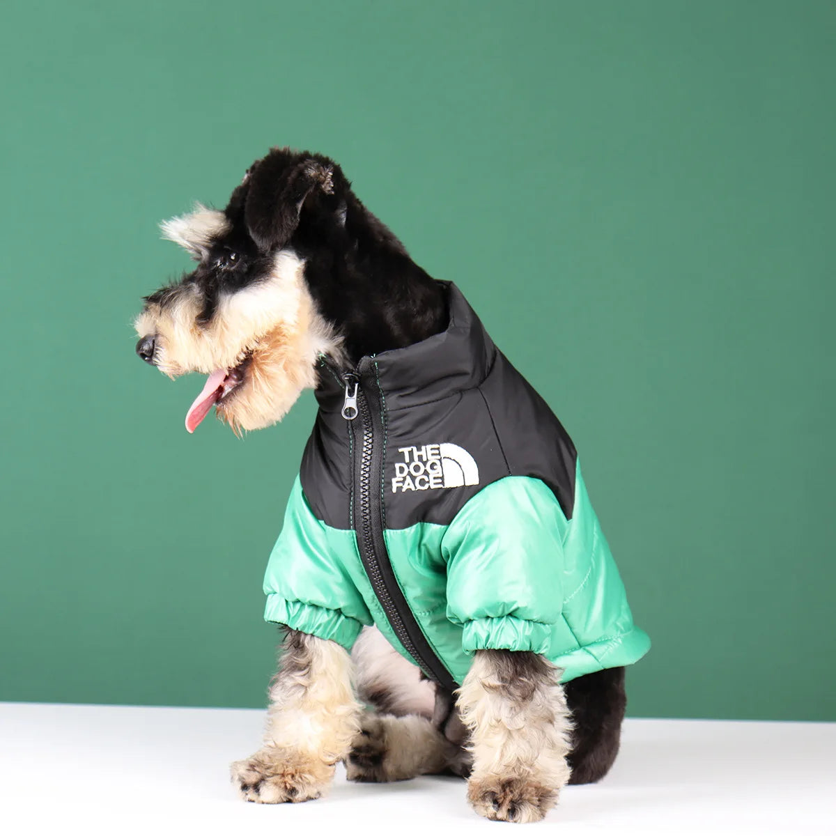 The Dog Face Winter Puffer