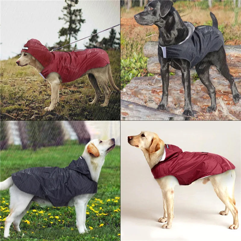 Poncho