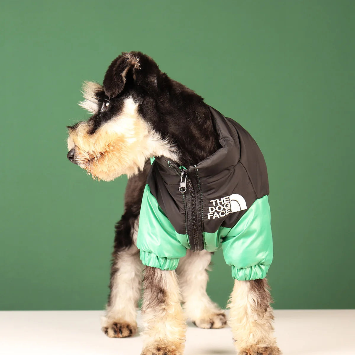 The Dog Face Winter Puffer
