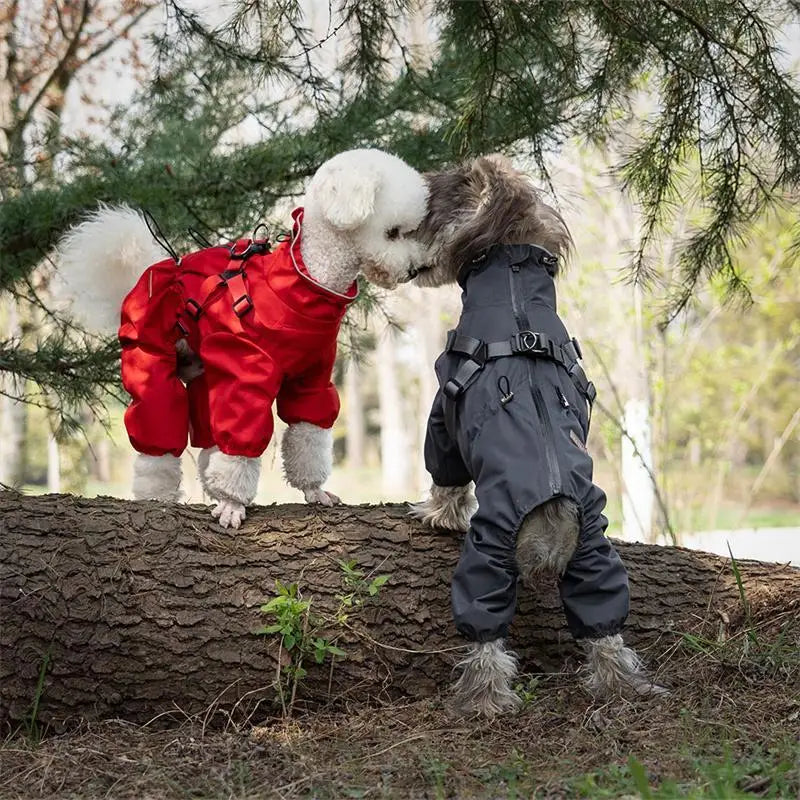 Reflective Raincoat with Harness