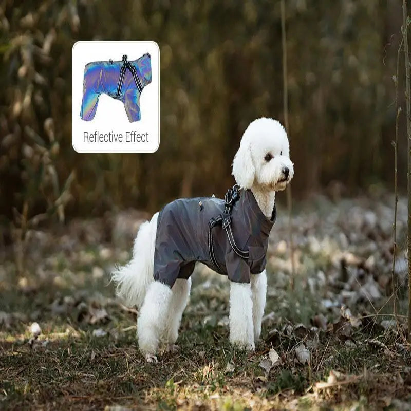 Reflective Raincoat with Harness