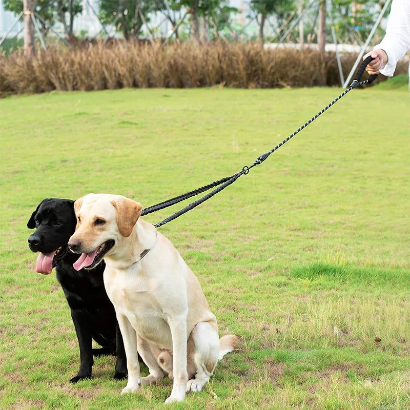 Shock Absorbing Bungee Leash for Two Dogs