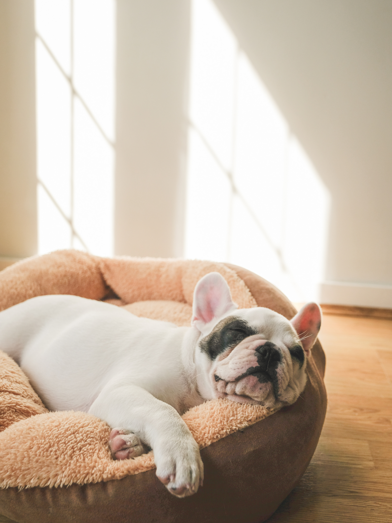 Time for Bed