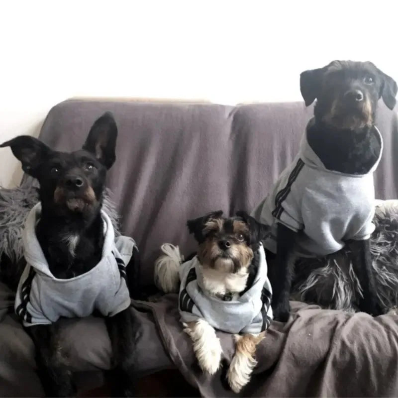 Adidog Hoodie