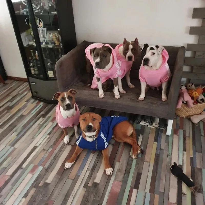 Adidog Hoodie