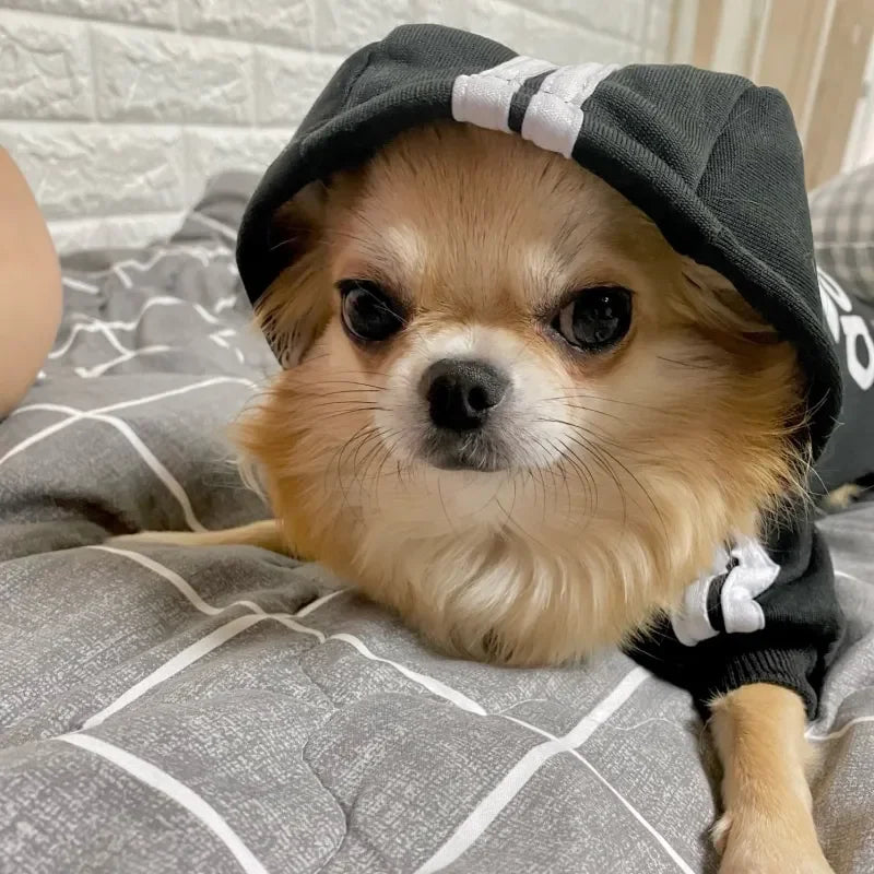 Adidog Hoodie