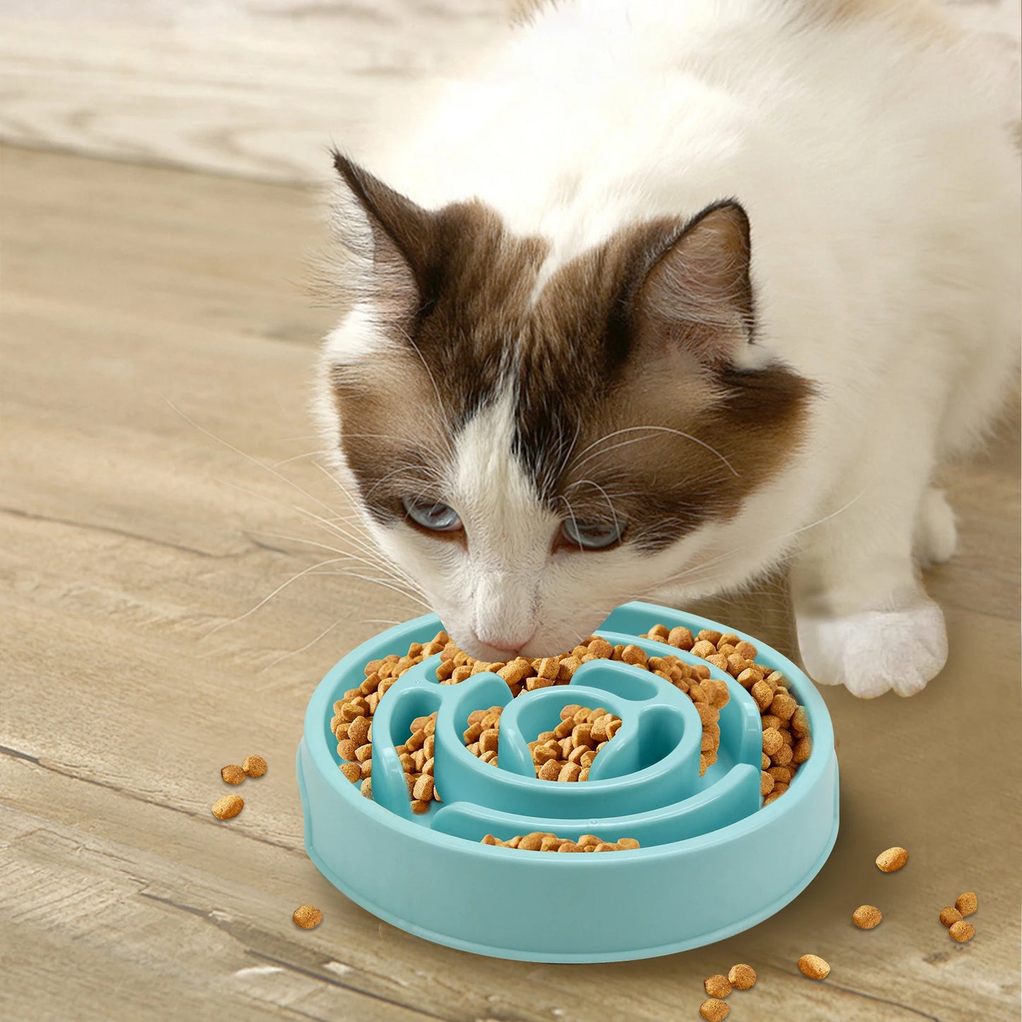 Slow Feeder Non Slip Bowl Anti-Gulping