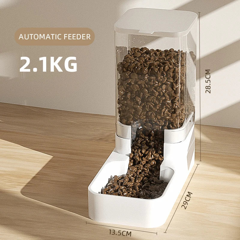 Automatic Dog Feeder