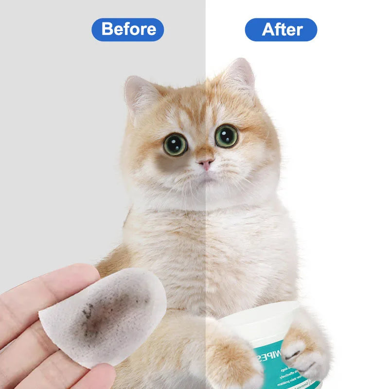 100pcs Pet Eye Wipes